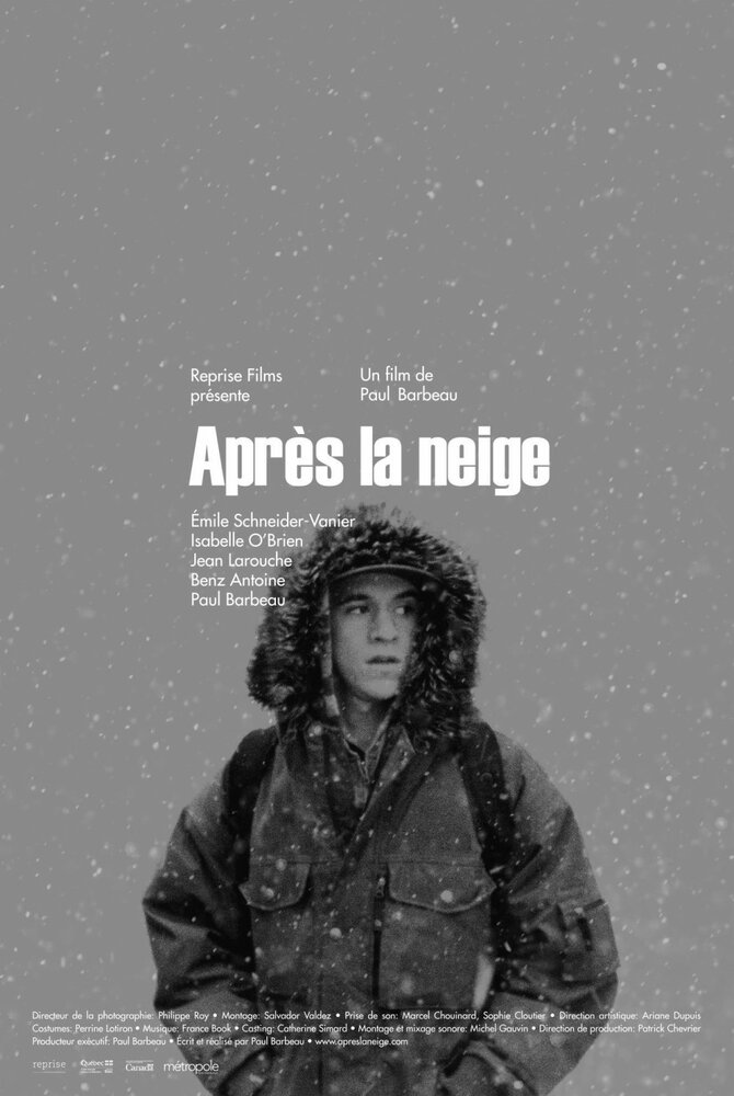 После снегопада (2012) постер