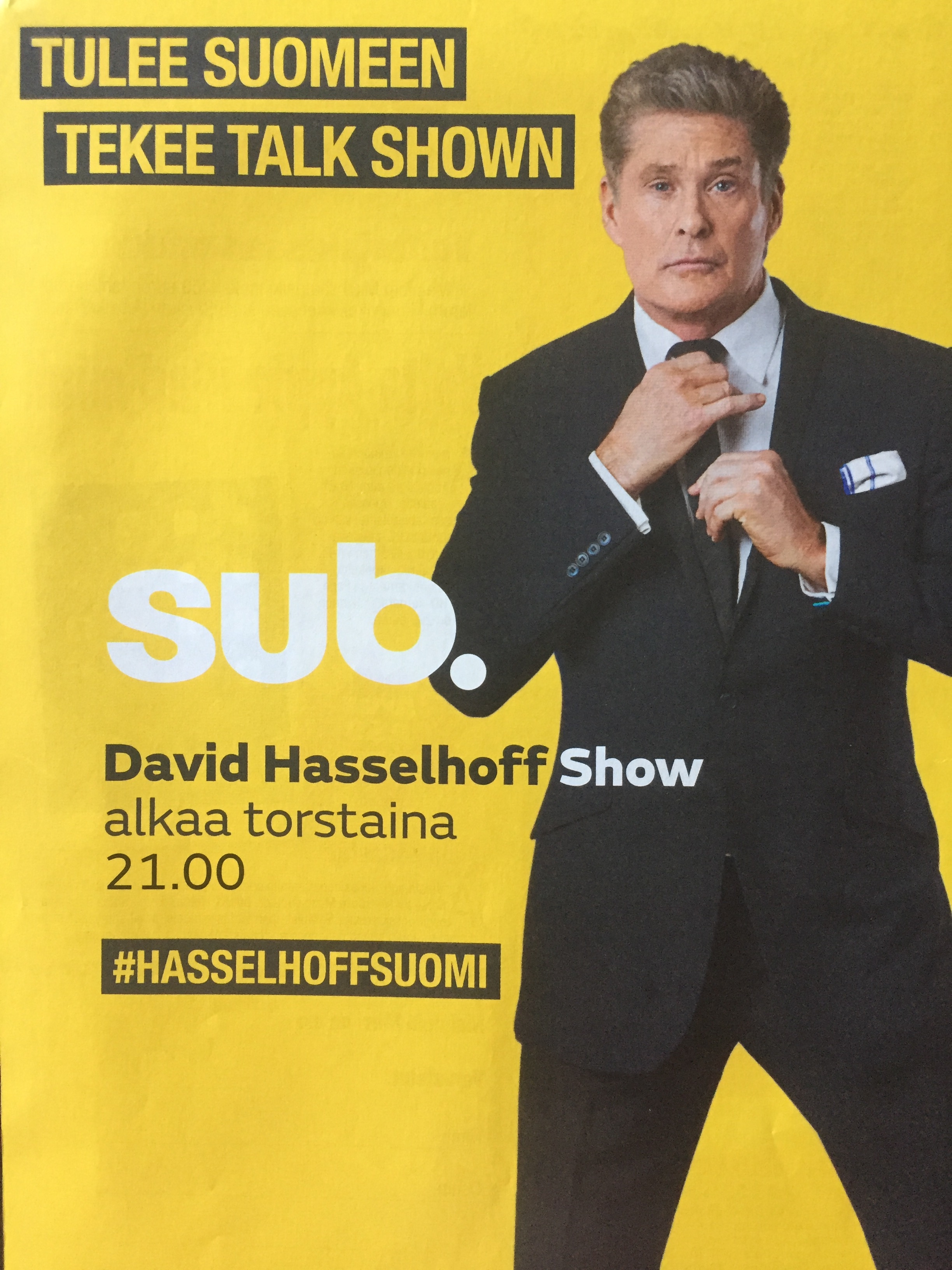 David Hasselhoff Show (2015) постер