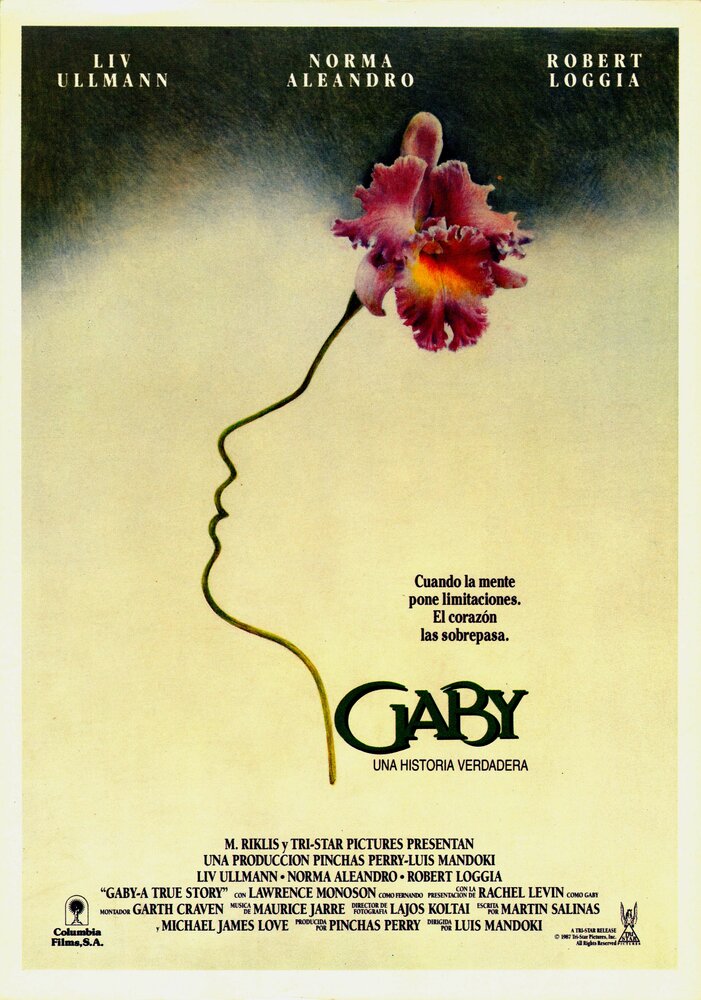 Габи, правдивая история (1987) постер