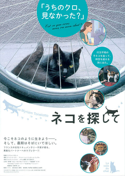 La voie du chat (2009) постер