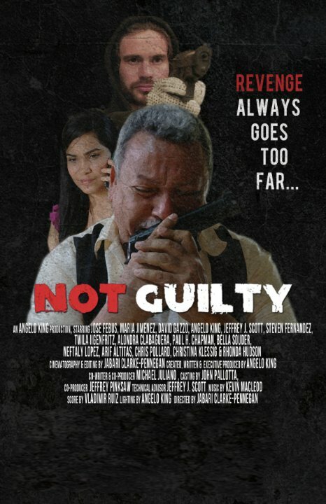 Not Guilty (2014) постер