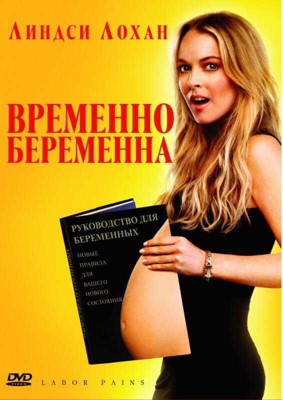 Временно беременна (2009) постер