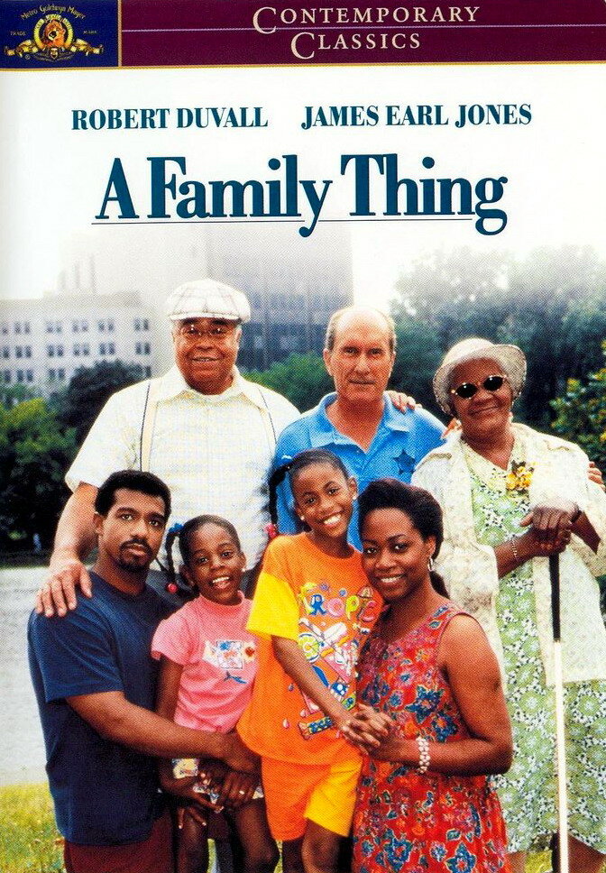 Семейное дело (1996) постер