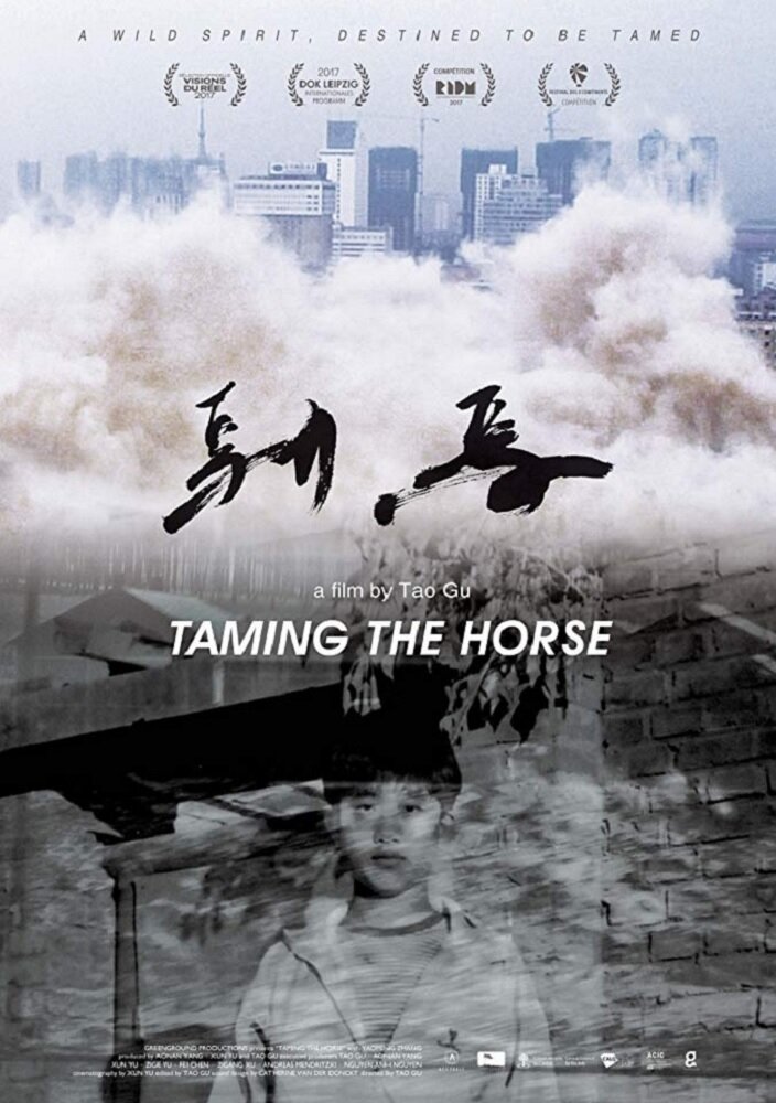 Taming the Horse (2017) постер