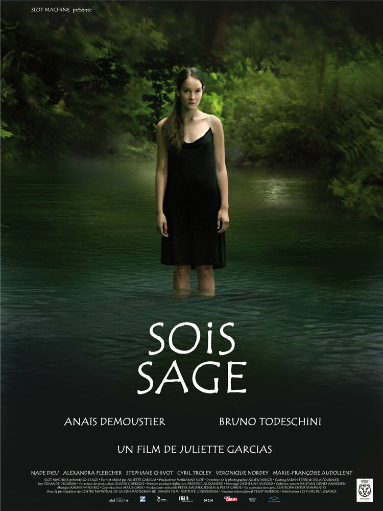 Sois sage (2009) постер