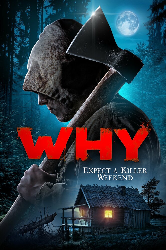 Why? (2019) постер