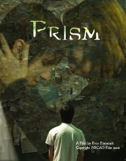 Prism (2008) постер
