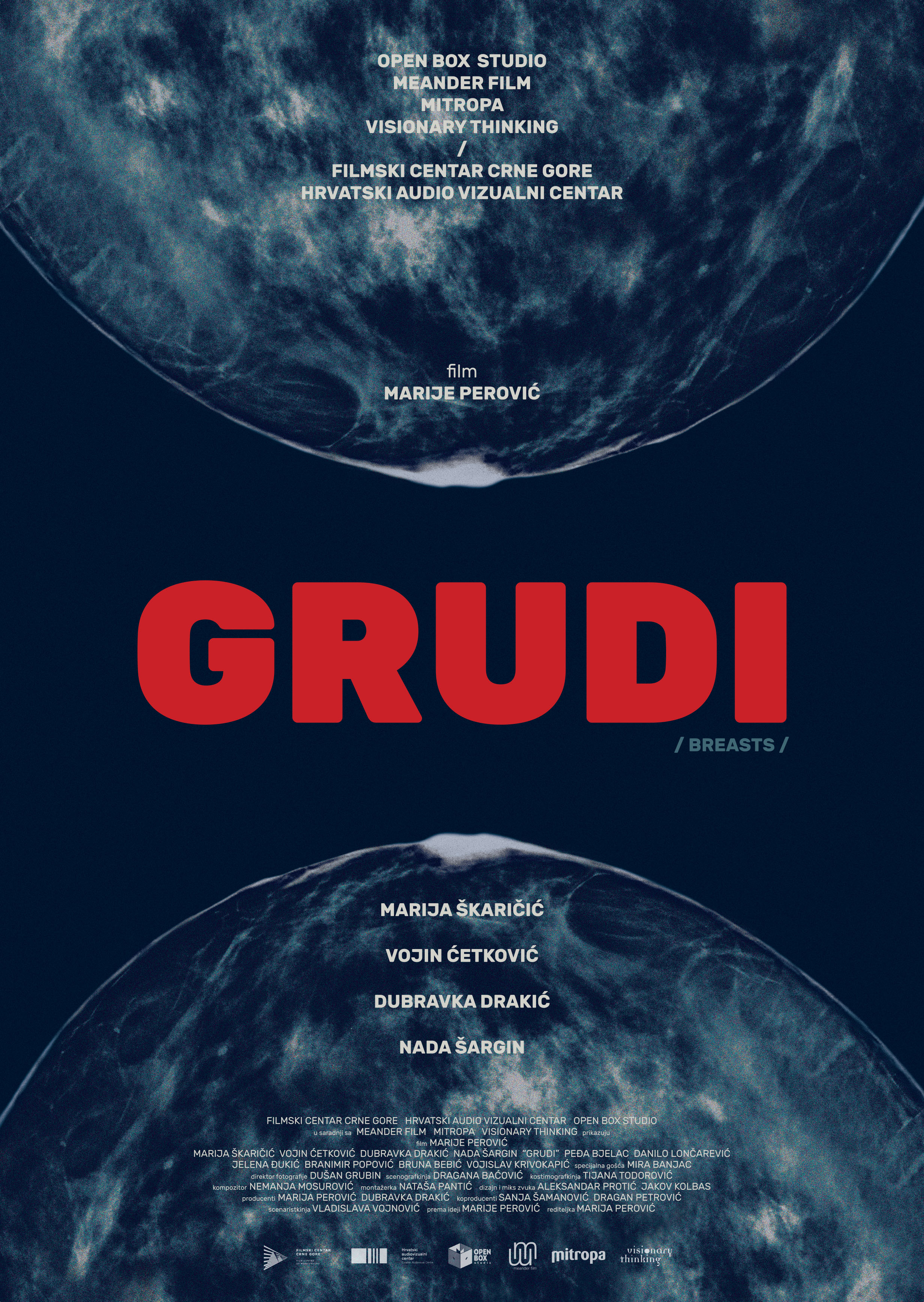 Grudi (2020) постер