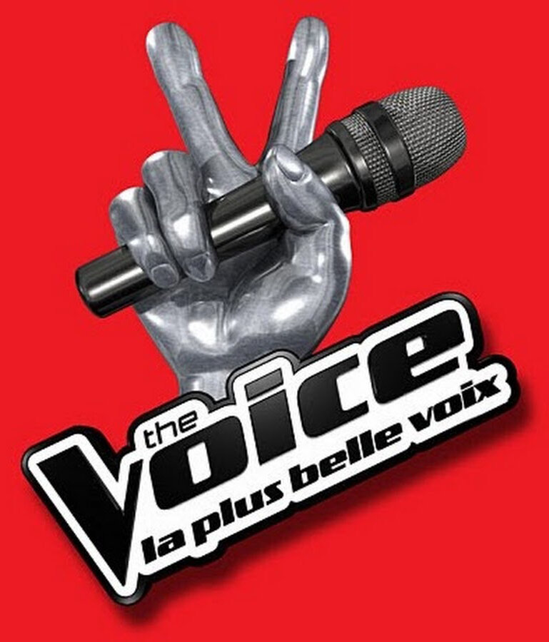 Голос Франции (2012) постер