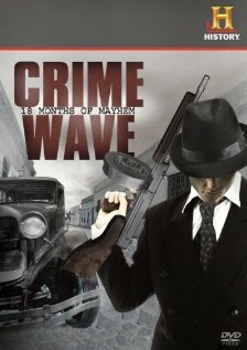 Crime Wave: 18 Months of Mayhem (2008) постер
