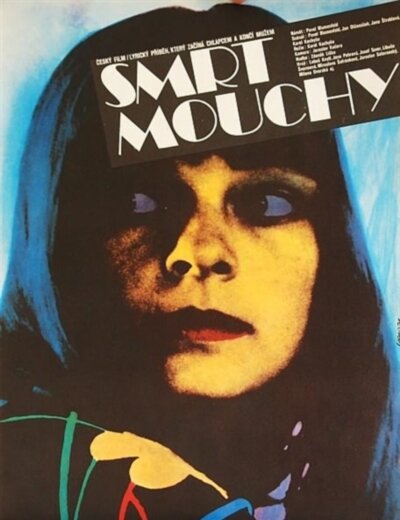 Смерть мухи (1976) постер