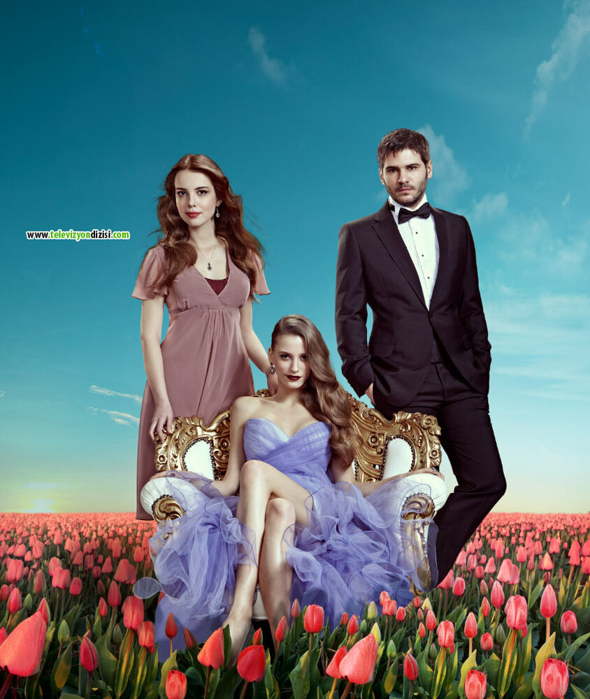 Пора тюльпанов (2010) постер