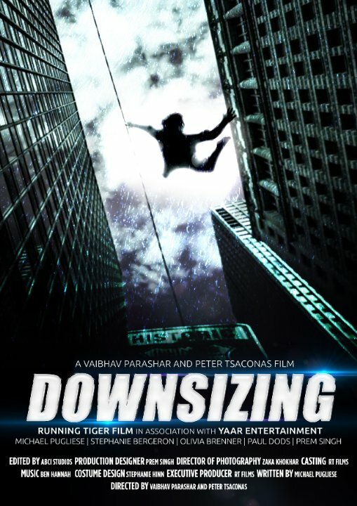 Downsizing (2014) постер