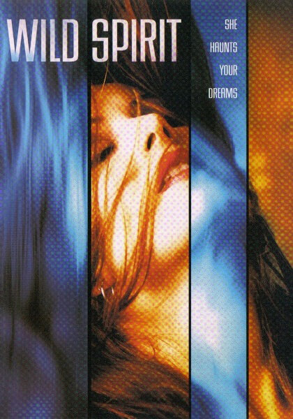 Дух чувственности (2003) постер