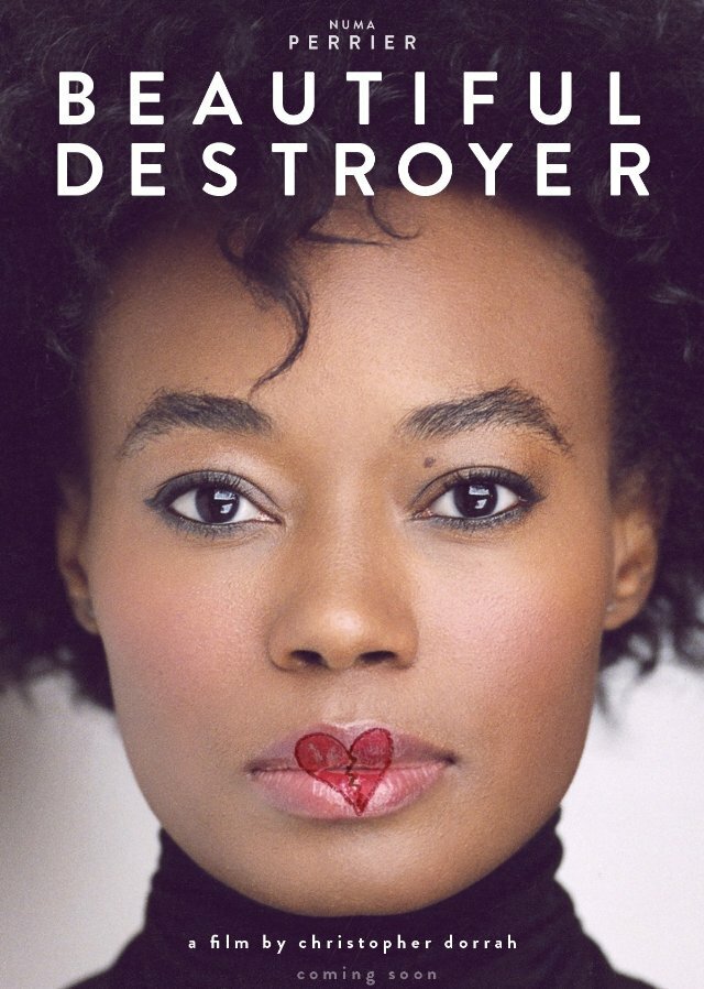 Beautiful Destroyer (2015) постер