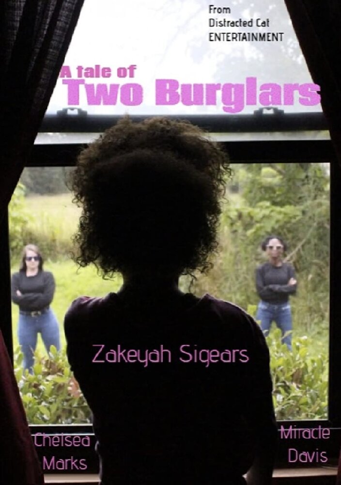 A Tale of Two Burglars (2020) постер