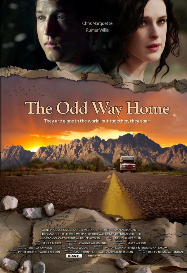 Странный путь домой (2013) постер