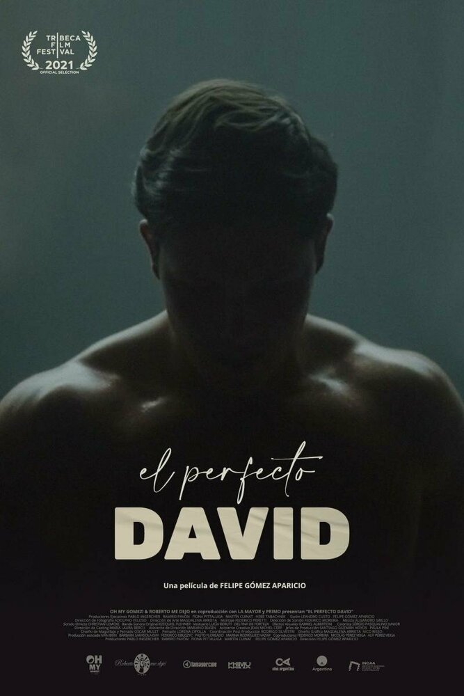 El perfecto David (2021) постер